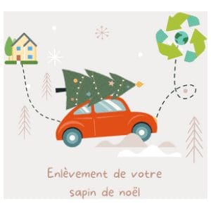 Enlèvement de votre sapin de noël