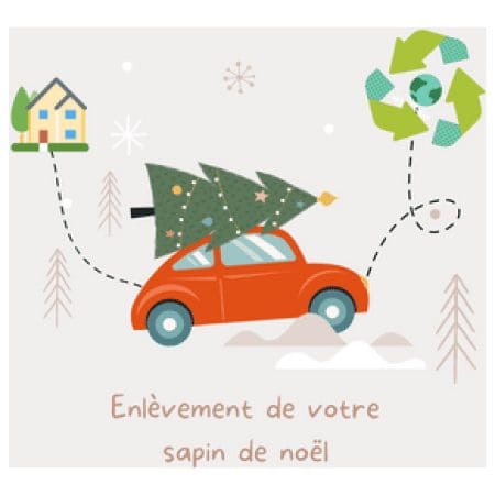 Enlèvement de votre sapin de noël