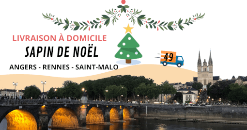 Livraison de sapin de noël à Angers Livraison de sapin de noël à Angers