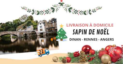 Livraison sapin de noël à Dinan Livraison sapin de noël à Dinan