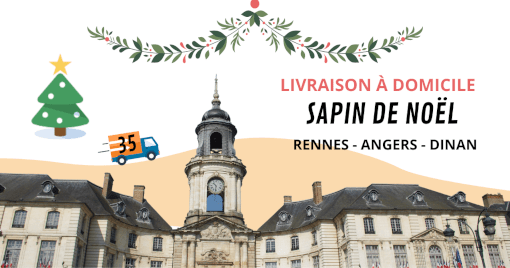 Livraison de sapin de noël à Rennes Livraison de sapin de noël à Rennes