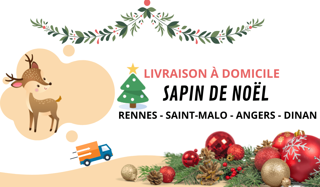 Avantages livraison sapin noël à domicile