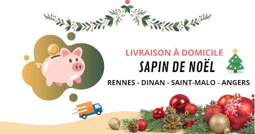 Producteur local de sapin de noël à Rennes Producteur local de sapin de noël à Rennes