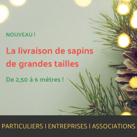 Livraison de sapins de grandes tailles
