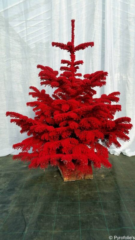 Sapin Nordmann Floqué Rouge