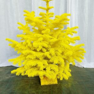 Sapin Nordmann Floqué Jaune