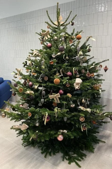 Sapin Nordmann & Décor Standard – Image 5