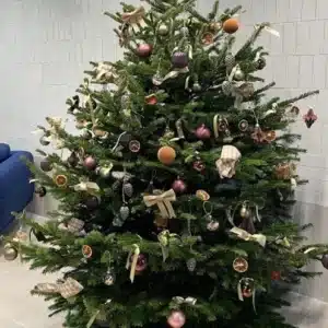 Sapin Nordmann décoré prestige livré à domicile à Rennes