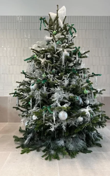 Sapin Nordmann & Décor Standard – Image 2