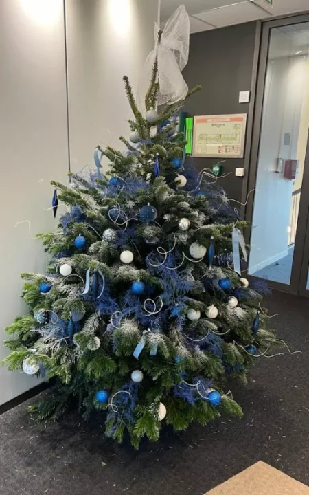 Sapin Nordmann & Décor Standard – Image 3