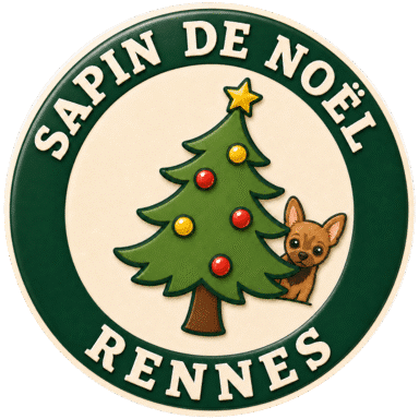 Sapin de Noël Rennes